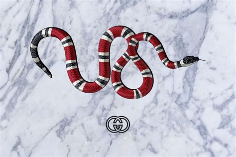 gucci snakes wallpaper iphone|gucci snake wallpaper 4k.